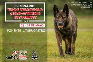 seminario perros peru